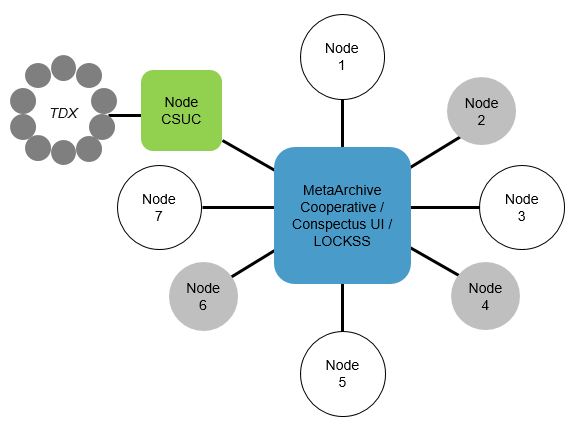 Figura 3. Model de la participació col·laborativa del CSUC a la xarxa MetaArchive Cooperative