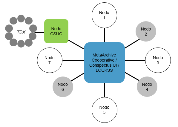 Figura 3. Modelo de la participación colaborativa del CSUC en la red MetaArchive Cooperative