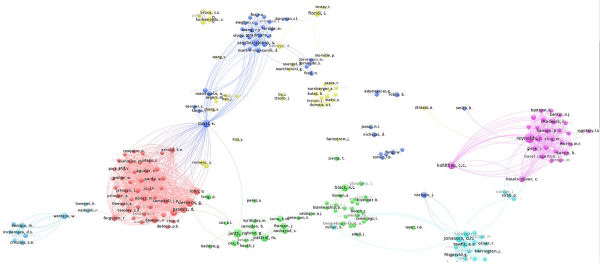 Figura 1. Una imatge de la xarxa bibliomètrica sobre analítiques d'aprenentatge (VOSviewer - Leiden University)