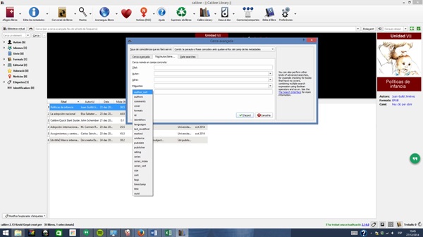 Figura 7. Interfície de la cerca avançada en el Calibre