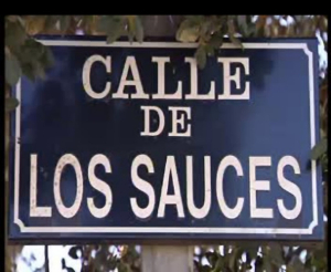 Exemple de l'ús d'informació addicional en la descripció d'imatges